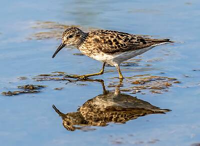 6: Murrells_2025-294