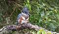 55: Alaska_2026-102