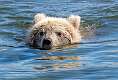 47: Alaska_2026-127