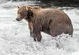 1: Alaska_2026-39