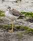 22: Alaska_2026-16