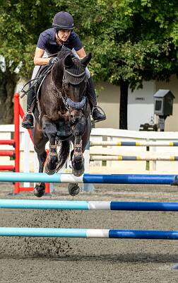 26: HorseParkNJ_2025-15