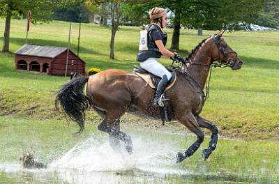 36: HorseParkNJ_2025-25