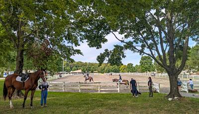 39: HorseParkNJ_2025-28