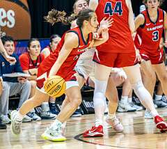 33: 2026-03_SOCON-185