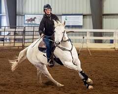 18: HorseParkNJ_2025-59