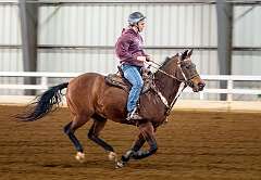 32: HorseParkNJ_2025-73