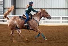 9: HorseParkNJ_2025-99