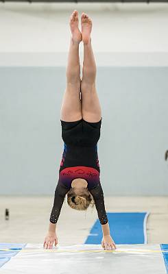 51: AshvilleGymnastics-210