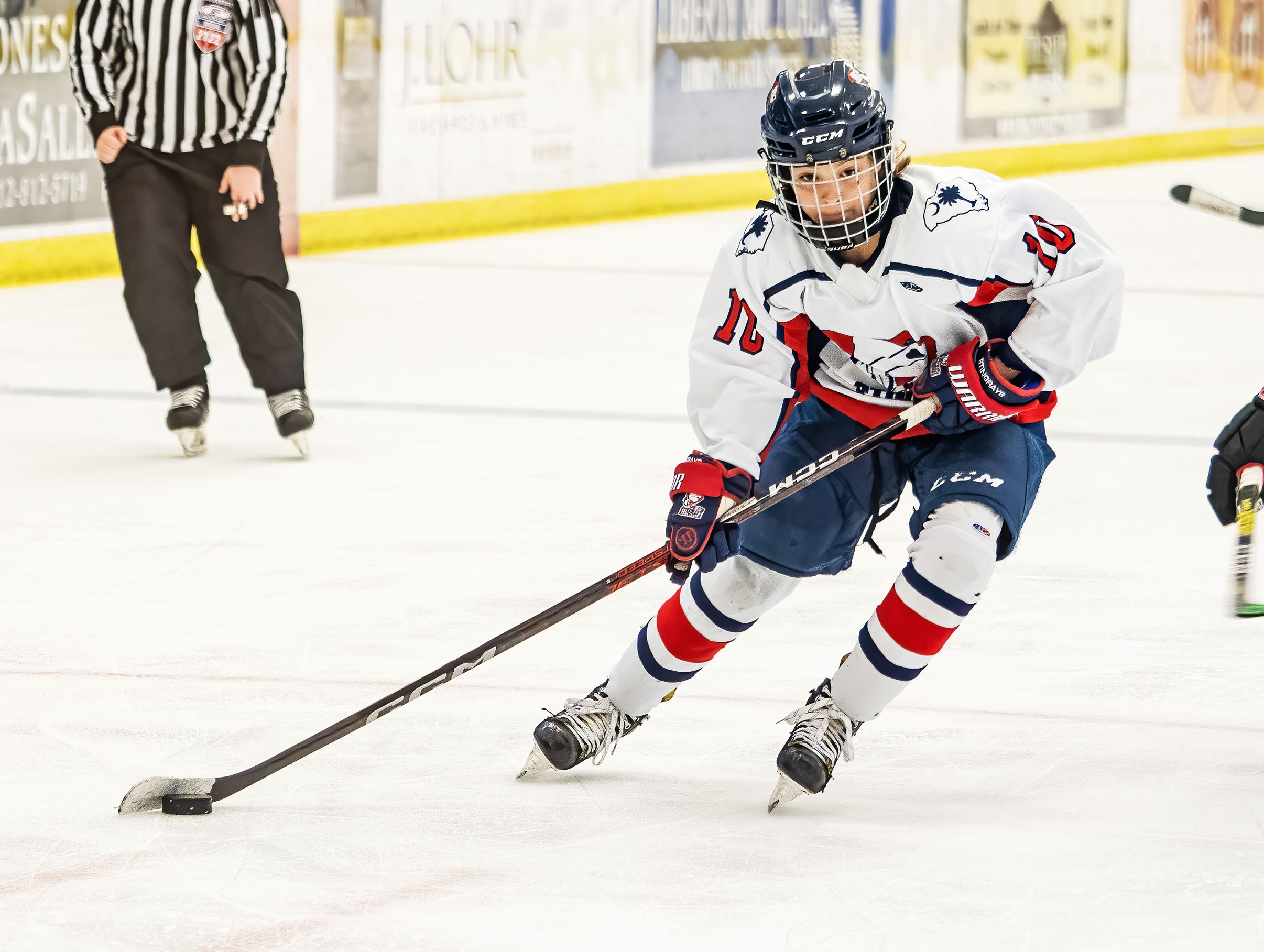 charleston-stingrays