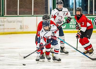 8: CharlestonStingrays-8