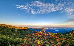 16: Weaverville2025--5