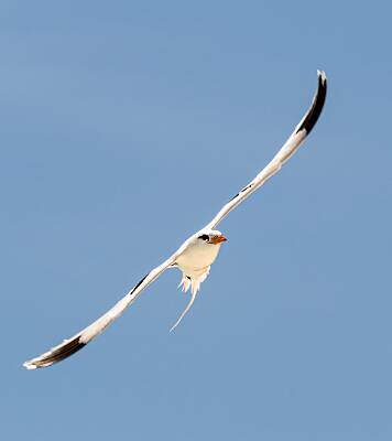 18: Bermuda_2026-36