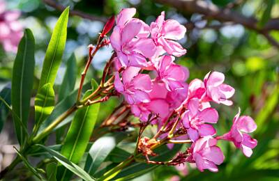 11: Bermuda_2026-69