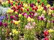 14: Brookgreen Gardens-16