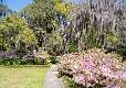 5: Brookgreen Gardens-7