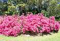 6: Brookgreen Gardens-8